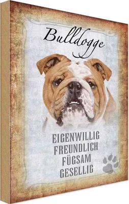 Produktbild von vianmo Holzschild 30x20 cm Bulldogge Hund gesellig Tier Haustier