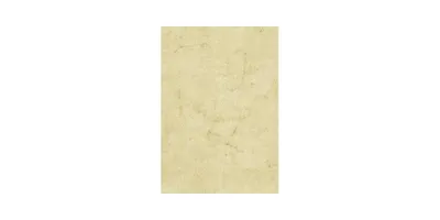 Produktbild von Zanders Elefantenhaut Office DIN A4 110g/m² chamois 100 Bl./Pack.