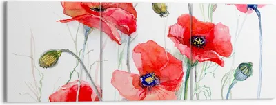 Produktbild von Bild auf Leinwand - Leinwandbild - Blume Mohn Wiese - 150x50cm - Wand Bild - Wanddeko - Wandbilder - Leinwanddruck - Bilder - Kunstdruck - Wanddekoration - Leinwand bilder - Wandkunst - CA150x50-3584