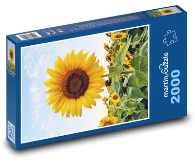 Obrázok produktu pre martinpuzzle - Puzzle 2000 - Slnecnice