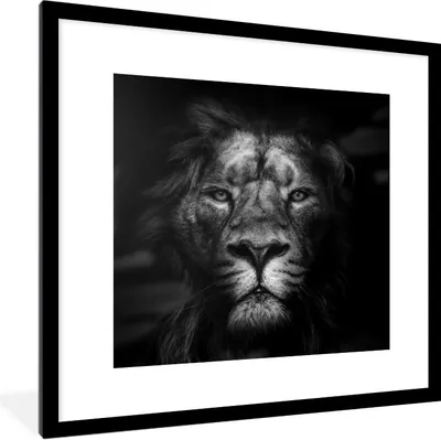Produktbild von MuchoWow® Gerahmtes Poster Tiere - Löwe - Raubtier - Schwarz - Weiß 40x40 cm - Poster mit Schwarzem Bilderrahmen Wandposter Rahmen Foto Bilder - Poster - Plakat im Rahmen
