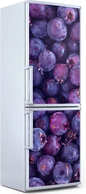 Produktbild von Magnete Dekorative - 60 cm x 180 cm - Küche Magnetmatte Kühlschrankmagnete - Schattenbeere Obst
