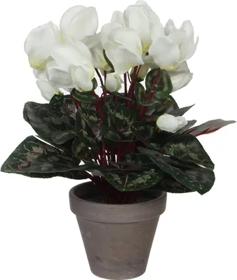 Image de Mica Decorations Cyclamen plante artificielle dans pot de fleur Stan - H30 x Ø30 cm - Blanc