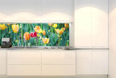 Produktbild von Küchenrückwand Folie Selbstklebend FRÜHLINGSLÖWENZAHN 180 x 60 cm - Klebefolie - Dekofolie
