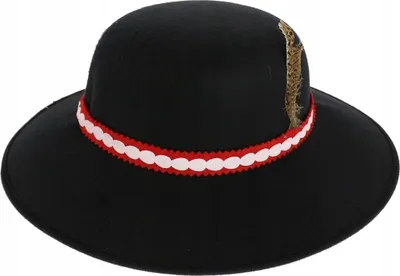 A black hat with a decorative ribbon and a feather.