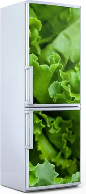 Produktbild von Magnete Dekorative - 70 cm x 190 cm - Küche - Magnetmatte Kühlschrankmagnete - Kopfsalat Grün Salat