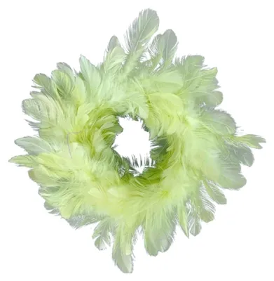 Produktbild von Federkranz Grün Deko Ostern Frühling 25 cm