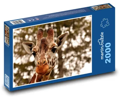 Obrázek produktu pro Puzzle 2000 Žirafa s velkýma očima - martinpuzzle