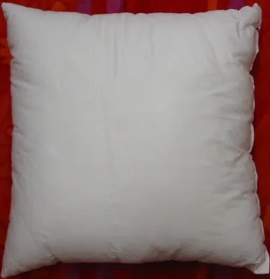 Image de Fussenegger Rembourrage de coussin 50 x 50 cm