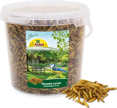 Image de JR FARM Mealybug larvae | Protéine naturelle pour tous les perroquets | Mealybug WIADER 400g