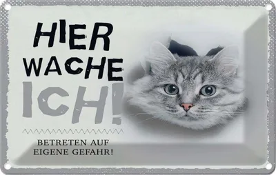 Produktbild von vianmo Blechschild 12x18 cm Katze hier wache eigene Gefahr
