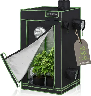 A black and green indoor grow tent with plants inside, shown with the front flap partially open.