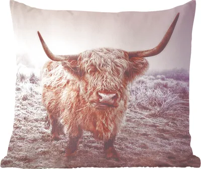 Produktbild von MuchoWow® Zierkissen Sofakissen Wohnzimmer Dekokissen 40x40 cm Schottische Hochlandbewohner - Licht - Himmel - Natur - Foto Kissen - Schlafzimmer Dekoration