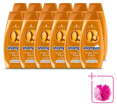 Obrázek produktu pro 12 kusů šamponu Schwarzkopf Argan Oil & Repair – pro suché a poškozené vlasy – 400 ml – výhodná sada