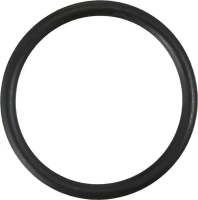Produktbild von SW-Stahl S3279-22 O-Ring, 18,3 mm x 1,7 mm
