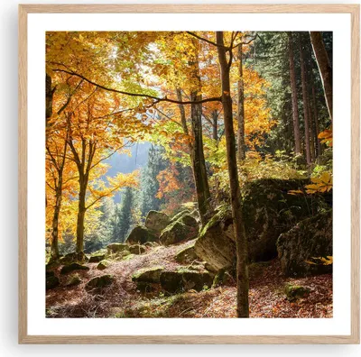 Produktbild von Gerahmtes Poster - Rahmen in heller Eiche - Herbst berg wald natur - 60x60 cm - Wand Bild - Wanddeko - Wandbilder - Wandposter - Bilderrahmen - Bilder - Kunstdruck - Wandbild - P2NAC60x60-2713