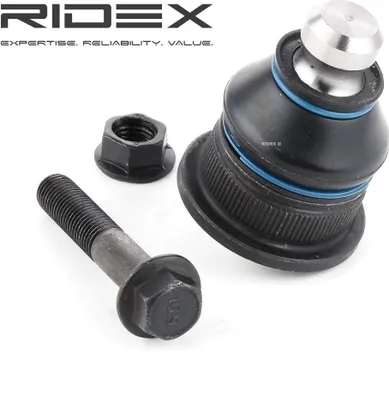 Produktbild von RIDEX Traggelenk Vorne für RENAULT Clio III Schrägheck (BR0/1, CR0/1) 2462S0087