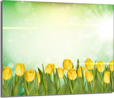 Obrázek produktu pro Kryt varné desky 60x52 keramický kryt varné desky splashback skleněná deska deco krájecí deska, tulipány žlutá