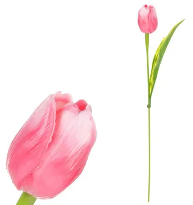 Obrázek produktu pro Autronic Tulipán růžový SG60104 PINK2