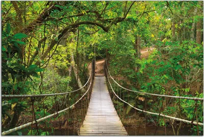 Produktbild von Wallario Outdoor-Poster für Garten oder Balkon, Motiv Hängebrücke im Urwald  grüner Dschungel, in ca. 61 x 91,50 cm