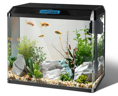 Aquarium-Set 54L mit Filter und LED, schwarz