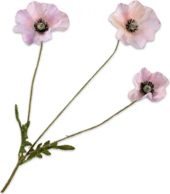 Produktbild von Silk-ka Kunstblume - Seidenblumen-Mohnzweig Rosa-Lachs 74 cm pro 2 Stück