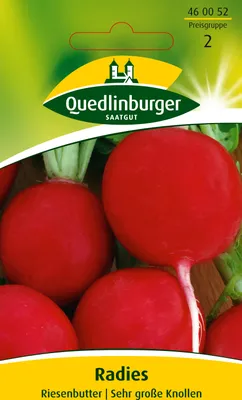 Produktbild von Quedlinburger Saatgut - Radies Riesenbutter - Samen - 460052