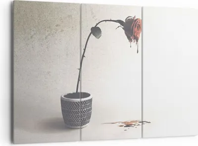 Produktbild von Bild auf Leinwand - Leinwandbild - 3 Teile - Symbol Rose Leiden - 165x110cm - Wand Bild - Wanddeko - Wandbilder - Leinwanddruck - Bilder - Wanddekoration - Leinwand bilder - Wandbild - CE165x110-4501