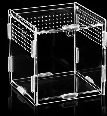 Produktbild von Famanu Futterbox für Reptilien und Insekten - Transparent