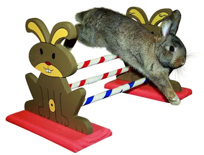 Produktbild von Kerbl Pet Agility Nagerhürde 62 x 33 x 34 cm