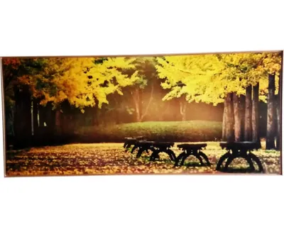 Obrázok produktu pre Obraz v ráme SHADOW 59x134 cm Trees Yellow