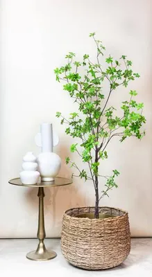 Obrázok produktu pre Umelá rastlina Tropaeolum Speciosum - Východoindická cerešna - 150cm - Vysoko