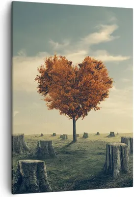 Produktbild von Bild auf Leinwand - Leinwandbild - Einteilig - Baum Natur Wiese - 50x70cm - Wand Bild - Wanddeko - Wandbilder - Leinwanddruck - Kunstdruck - Wanddekoration - Leinwand bilder - Wandbild - PA50x70-3751