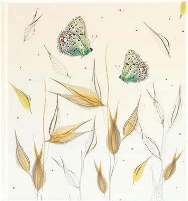 Produktbild von Einschreibbuch Tender Butterflies Notizbuch 17,5x19 cm