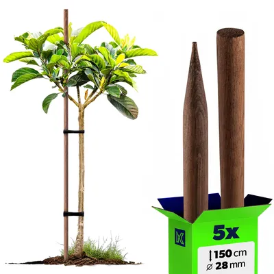 Obrázok produktu pre KADAX drevená podpera na šplhanie "Tarup", impregnované kolíky, tyč na šplhanie rastlín, 150 cm, 5 kusov