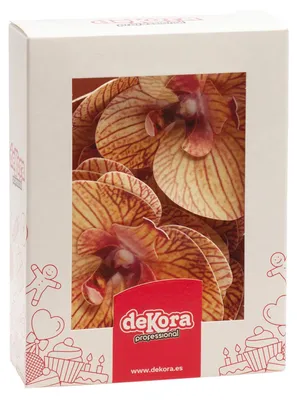 Produktbild von dekora – Essbare Blumen für Torten, Esspapier-Tortendeko, 10 orange Orchideen 8,5 x 7,5 cm, ohne Zucker, glutenfrei, laktosefrei, Tortendeko essbar für Hochzeit, Geburtstag und Taufe