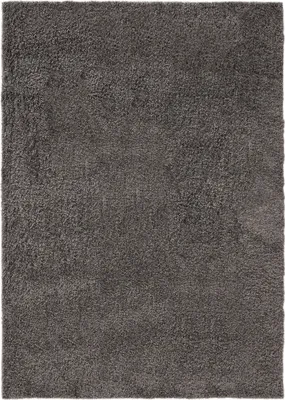 Produktbild von Interiyou Waschbarer Hochflorteppich Sofia Grau 360x460 cm