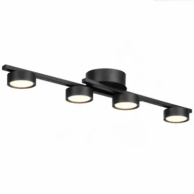Produktbild von MasterLED Deckenleuchte 4-flammig GX53 schwarz Stahl 76 cm für Wohnräume