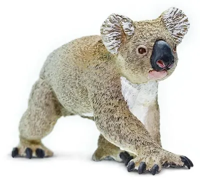 Image de Safari Ltd 225329 Figurine Koala