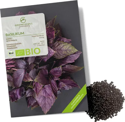 Produktbild von Basilikum Samen Rot - Küchenkräuter Saatgut aus biologischem Anbau ideal für den heimischen Kräutergarten, Balkon & Garten (400 Korn)