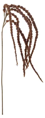 Produktbild von Bloomingville Foxtail, Drinnen, Künstliche Blütenpflanze, Amaranth, Braun, Polyethylen, Eisen, 1 Stück(e)