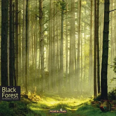 Zdjęcie produktu dla Asmodee Black Forest, Gra planszowa, 14 lat(a)