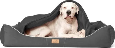 Produktbild von tierlando® Orthopädisches Hundebett RUDOLPH inkl. Schonbezug mit Hundedecke - Größe: 100x90cm | Farbe: 02 Graphit