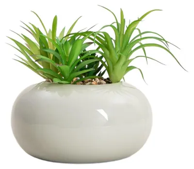 Obrázok produktu pre HOMLA Umelá rastlina ACCIO Sukulent v črepníku 19 cm