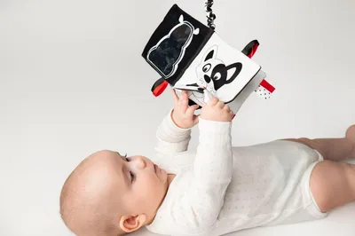 Zdjęcie produktu dla Książeczka sensoryczna Kto to? Co to? dla niemowląt