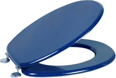 A dark blue toilet seat and lid are shown, attached by chrome hinges.
