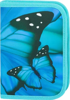 Produktbild von BAAGL Schulmäppchen klassisch zwei Klappen Butterfly