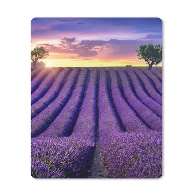 Produktbild von MuchoWow® Mauspad Mousepad Lavendel - Hügel - Sonnenuntergang - Bpmen - Lila 19x23 cm - Mousepads - Maus Mat - Pad - Mausunterlage - Mauspads - Spielen