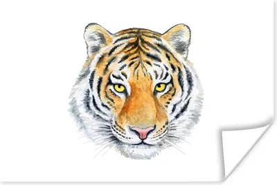 Produktbild von MuchoWow® Poster Tiger - Kopf - Gelb 90x60 cm - Schlafzimmer