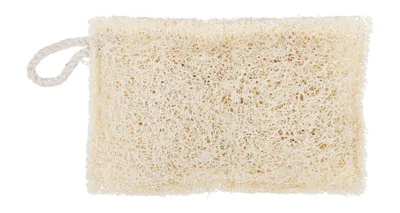Produktbild von Redecker Luffa Spülschwamm Reinigungsschwamm plastikfrei nachhaltig